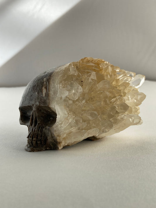 SPARROW quartz crystal skull, small 2-3 inches, unique home decor, office desk decor, gothic home accents, trendy gift for him or her, statement piece for desk or office, crystal decor