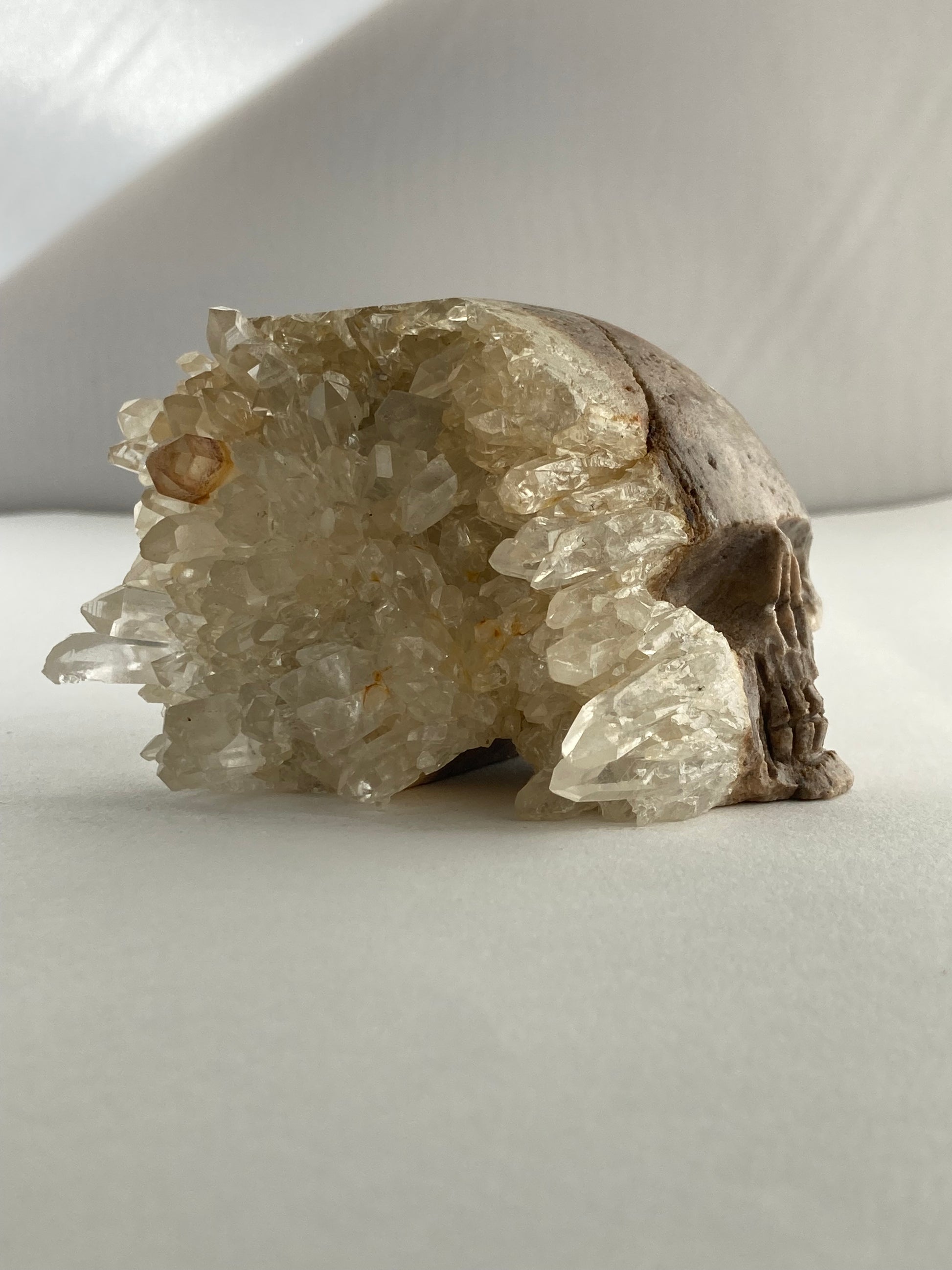 SPARROW quartz crystal skull, small 2-3 inches, unique home decor, office desk decor, gothic home accents, trendy gift for him or her, statement piece for desk or office, crystal decor